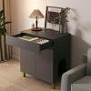 APRILSOUL Large and Tall Litter Box Enclosure, Modern Wooden Litter Box Furniture for XL Litterbox with Drawer as Sideboard Cabinet - 2 of 4