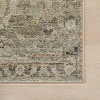 Nuloom Ysera Traditional Bordered Washable Area Rug - 4 of 4