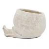 Okak 9x5.5x5.7 Inches Sand and Cement Conch Shell Planter Textured Finish for Indoor and Outdoor Use, Decorative Plant Pot - 2 of 4