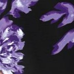 black purple floral