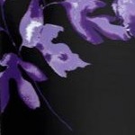 black purple floral