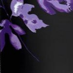 black purple floral