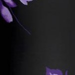 black purple floral