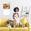 2026 Square Wall Calendar, Dog Shaming, 16-Month Humor Theme with 180 Reminder Stickers (12x12 In) - 2 of 4