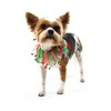 Midlee Christmas Jingle Bells Decorative Dog Collar - 2 of 4