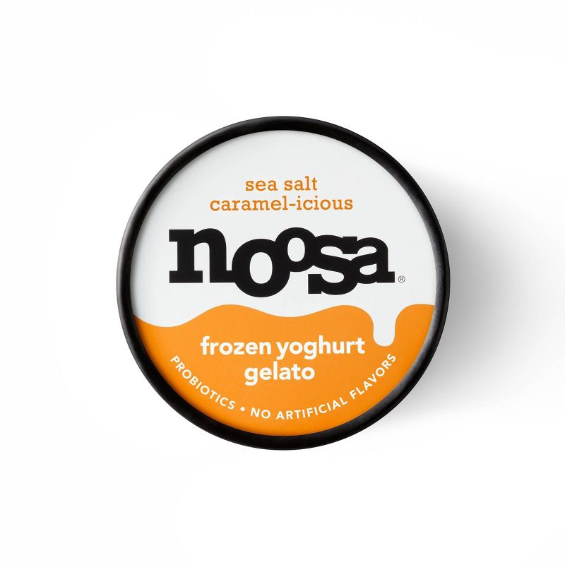 Noosa Frozen Yogurt Gelato Sea Salt Caramel - 14oz, 5 of 13