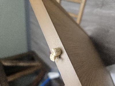 Guest review image 1 of 4, zoom in
