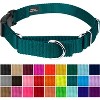 Country Brook Petz Heavy Duty Nylon Martingale Dog Collar with Deluxe Buckle - 30+ Vibrant Color Options - 2 of 4
