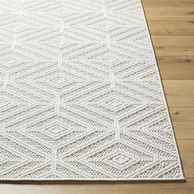 Hauteloom Bunim Area Rug
