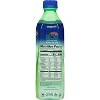 Iberia Aloe Vera Juice Drink, Coconut, 16.9 Fl Oz (Pack of 8) - 2 of 3