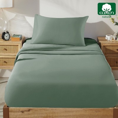 Sage Green Twin XL Cotton Sateen Sheet Set
