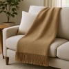 HomeRoots 50" X 67" Stone Cotton Blend Woven Throw Blanket with Fringe - 2 of 4