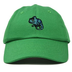 Dalix Chameleon Cap Embroidered Mens Cotton Dad Hat Baseball Hat - 1 of 4