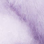 lilac joy
