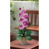 Nearly Natural Phalaenopsis Artificial Orchid Flower Arrangement, Mauve - 2 of 2