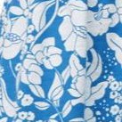 dream blue white floral