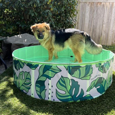 Piscina Para Perros Pequeños Gimdog Splash Time! S (80 X 20 Cm) con Ofertas  en Carrefour