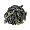 Novelty Lights 50 Light LED Christmas Mini Light Set (Black Wire, 25 Feet) - 3 of 4