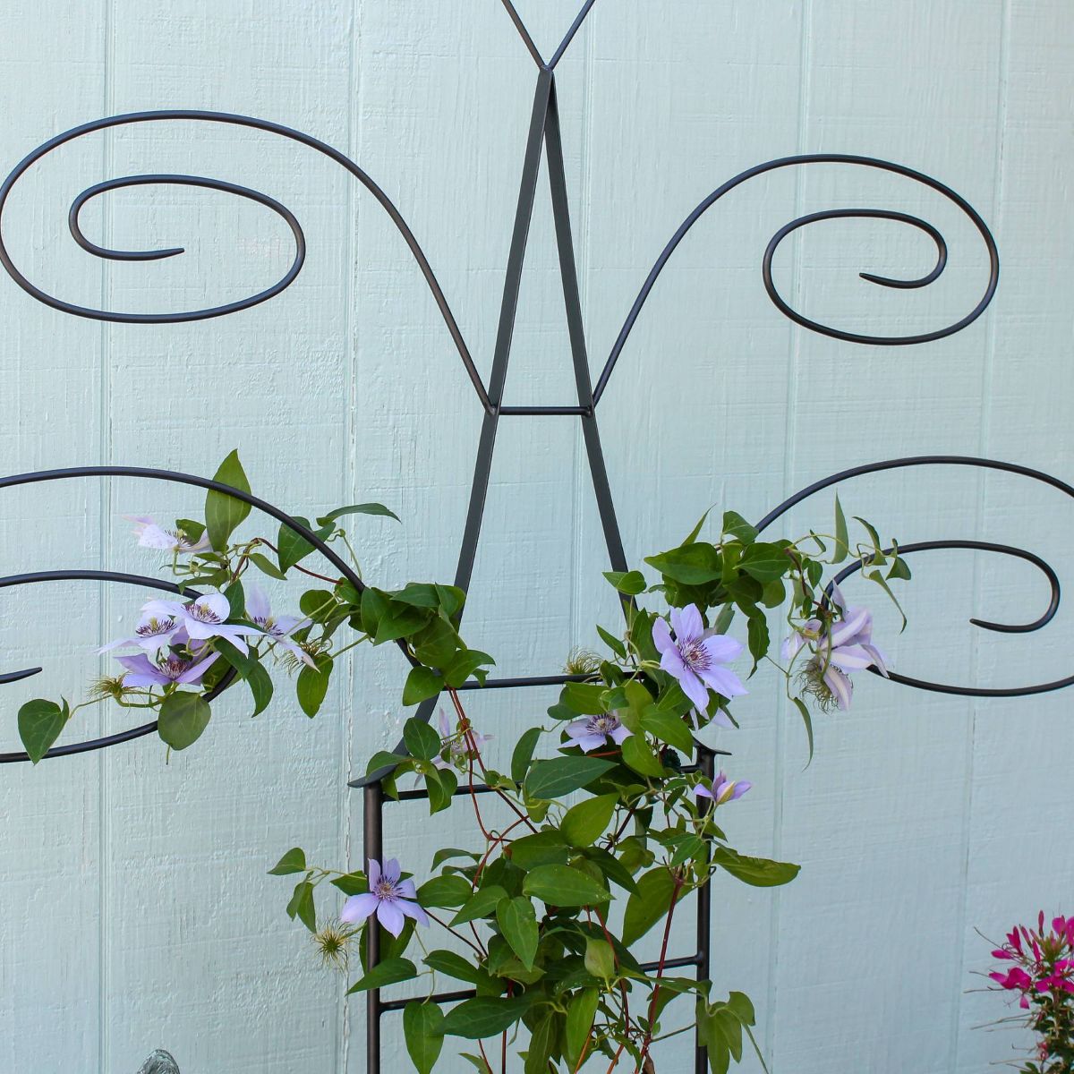 ACHLA Designs 49.75" Outdoor Garden Butterfly Wrought Iron Trellis - thumbnail 3
