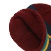 Harry Potter Hogwarts Crest Faux Leather Patch Stripes Beanie - 3 of 4