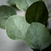 Sullivans Artificial 72" Leafy Green Eucalyptus Garland - 2 of 3