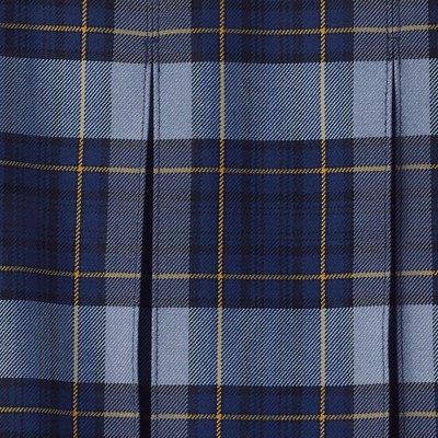 classic navy plaid