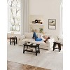 Side Table, End Table with 2-Tier Storage Shelf, Sofa Table for Small Space,Gray - 3 of 4