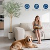 9Ft Artificial Olive Tree, Fake Olive Trees for Indoor, Artificial Plants with Natural Wood Trunk and Lifelike Fruits for Home Office Decor - 3 of 4
