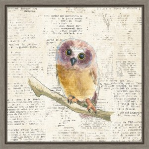 Amanti Art Into the Woods II no Border (Owl) by Emily Adams Canvas Wall Art Print Framed 16-in. x 16-in. - 1 of 4