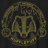 Boy's Harry Potter Hufflepuff House Emblem T-Shirt - image 2 of 4