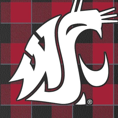 washington state cougars