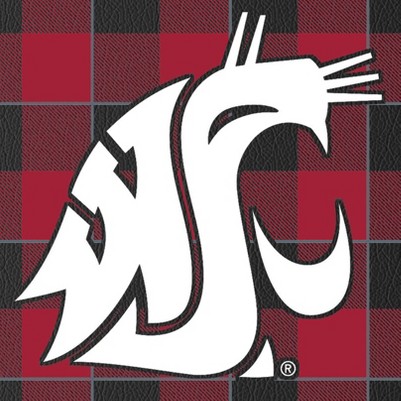 washington state cougars