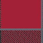 washington state cougars