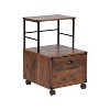 Saint Birch Bombay Mobile File Cabinet with 1-Drawer, Walnut - 2 of 4
