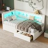 Twin Size Upholstered Platform Bed with 2 Drawers, USB Ports and LED Belt - 3 of 4