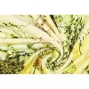 Lord Of The Rings Full Middle Earth Map Design Plush Throw Blanket 46' x 60' - 3 of 4