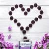 Sambucol Black Elderberry Immune Support Vegan Gummies with Vitamin C and Zinc - 30ct - image 4 of 4