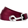 Country Brook Petz 6ft By 3/4 Inch Heavyduty Doublehandle Nylon Leash - 2 of 4