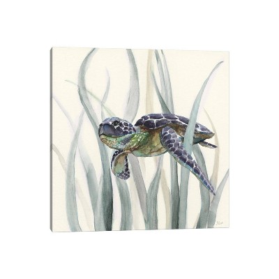 iCanvas Turtle in Seagrass II Blue by Nan Canvas Print Wall Art