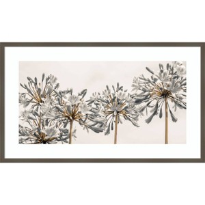 41" x 24" African Lily Flowers II by Assaf Frank Wood Framed Wall Art Print - Amanti Art: Modern Botanical Decor, Horizontal Lithograph - 1 of 4