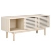 Aricia Small 2 Door Media Stand - MED9632 - Safavieh - 3 of 4