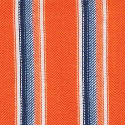 baja stripe auburn