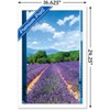 Trends International Lavender Field Framed Wall Poster Prints - 3 of 4
