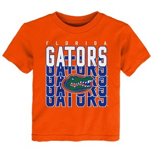 NCAA Florida Gators Toddler Boys' T-Shirt - 1 of 1