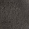 gray toucan