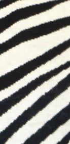 black ivory zebra