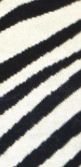 black ivory zebra