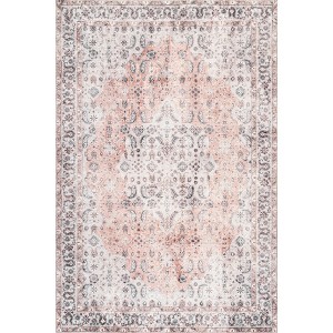 Nuloom Jasmine Distressed Vintage Medallion Bordered Indoor Area Rug - 1 of 4