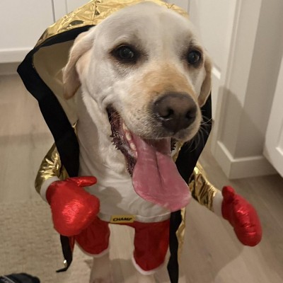 Guest review image 1 of 1, zoom in