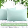 PiccoCasa Zipper Closure Breathable Luxury Viscose From Bamboo Pillowcases 2 Pcs - 2 of 4